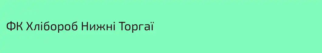 ФК Хлібороб Нижні Торгаї